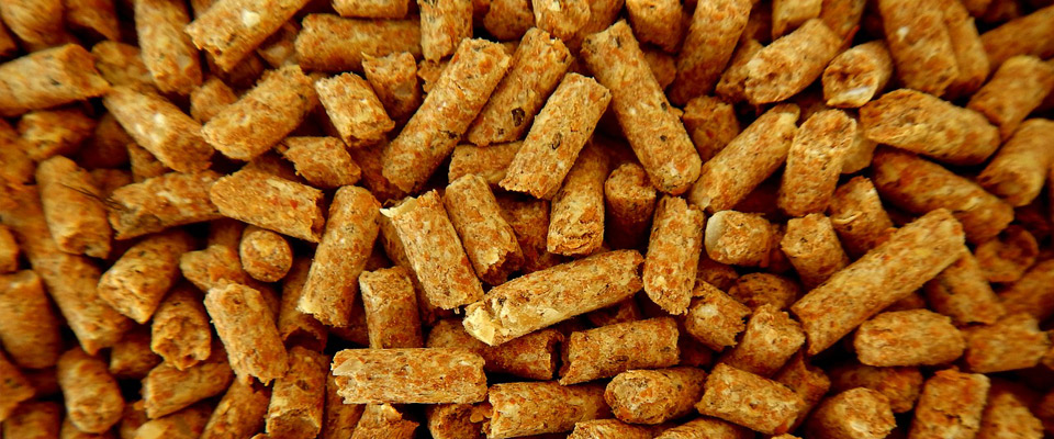 Pellets- und Stückholzanlagen haben sich in den letzten Jahren zu einer guten Alternative zu den fossilen Energieträgern wie Öl und Gas entwickelt. Die Anlagen werden für die Gebäudebeheizung und Warmwasserbereitung